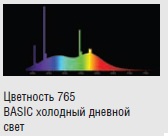  ������ ���� �����